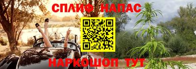 шишки Сланцы