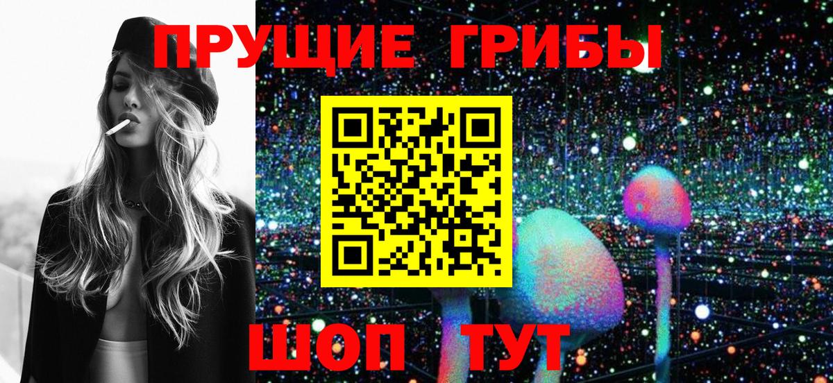 Псилоцибиновые грибы мицелий  Вход с VPN  Родники 